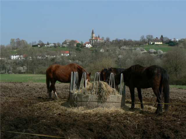 Čestín od Dolního Dvora, odkud budete přicházet.