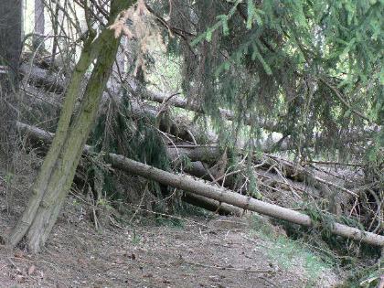 polom mezi �elivcem a Zru��